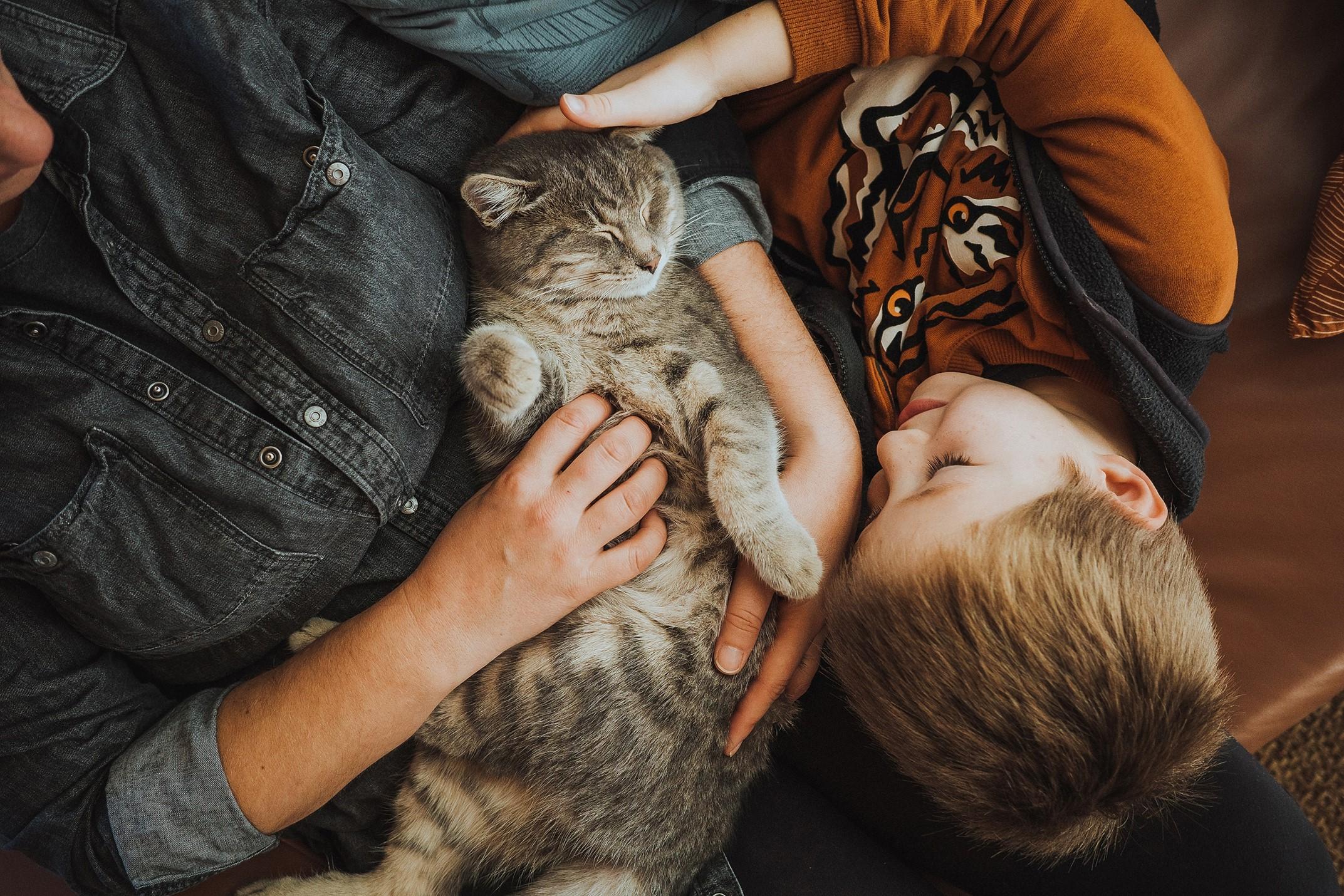 Cat Happy Tails