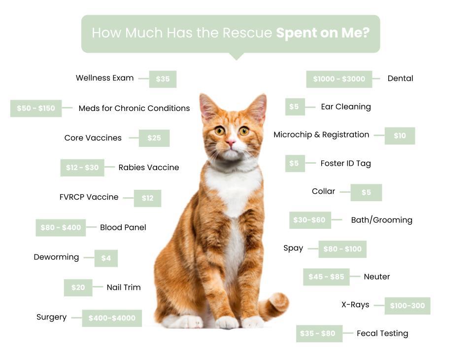 Pets N Pals Fee Graphic (1)