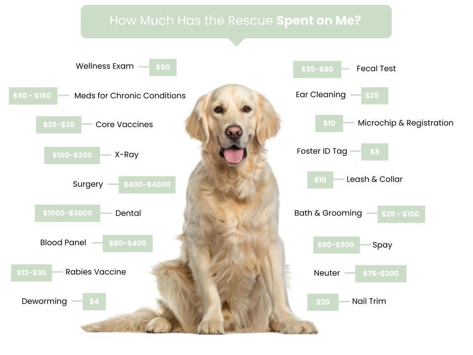Pets N Pals Fee Graphic