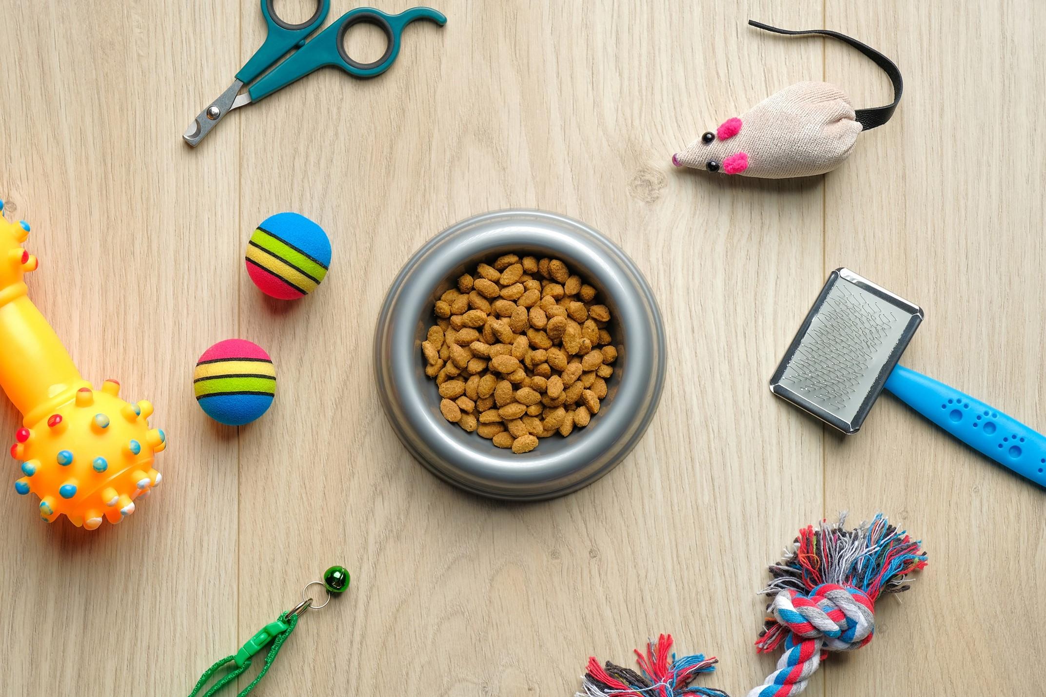 cat toy 1