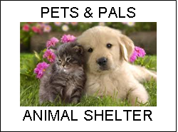 Pets and Pals Animal Shelter