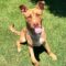 Scoob